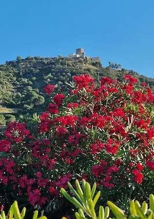 Comme Sur Un Bateau * Collioure