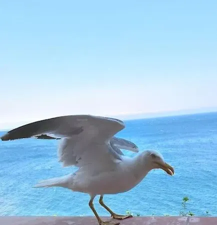 Comme Sur Un Bateau, T2 Vue Mer, Terrasse, Apartment *