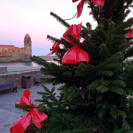 Comme Sur Un Bateau, T2 Vue Mer, Terrasse, Apartment Collioure