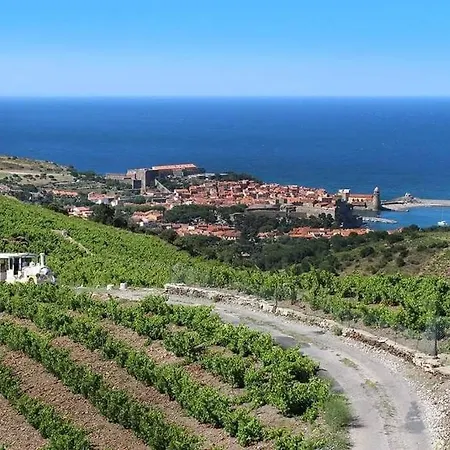 Comme Sur Un Bateau, T2 Vue Mer, Terrasse, Collioure